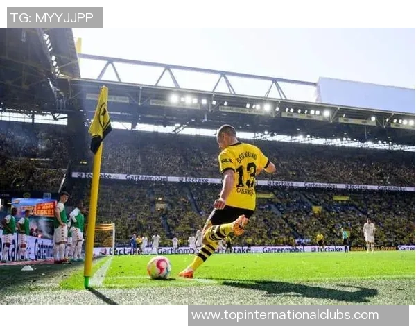 曼塔海豚与亚松森的精彩对决揭示足球战术与团队合作的完美结合